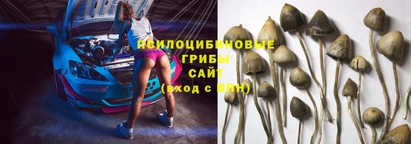 трава Нефтекумск